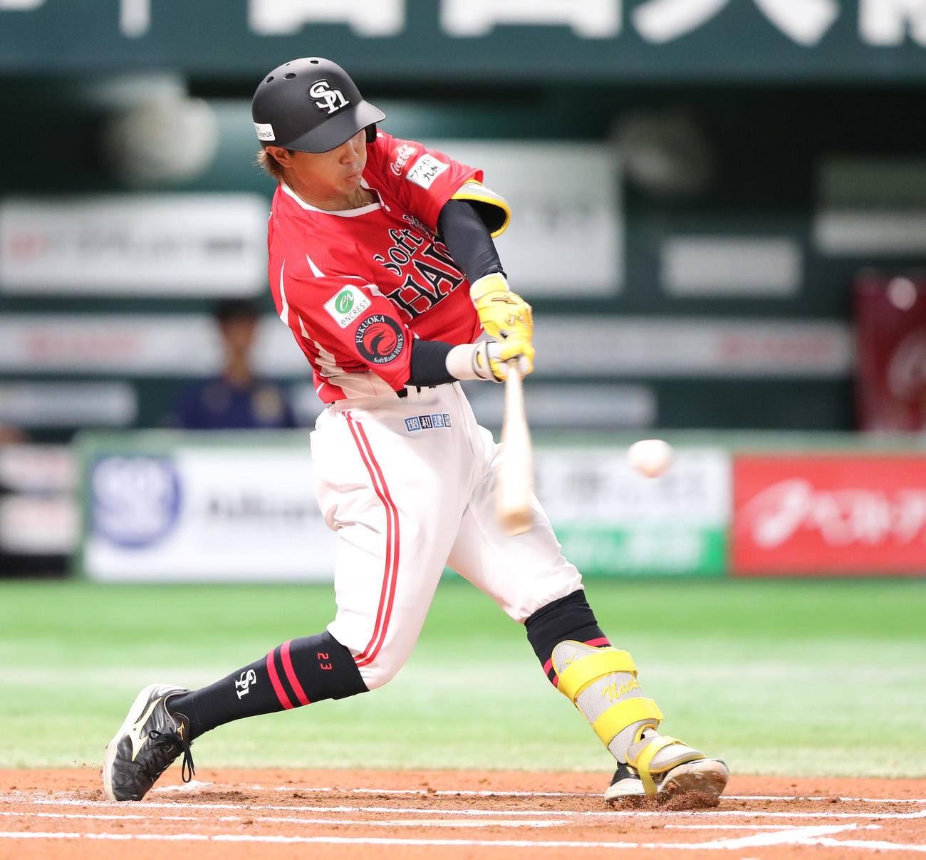ソフトバンク対オリックス　6回裏ソフトバンク無死、佐藤直は左越え本塁打を放つ（撮影・梅根麻紀）