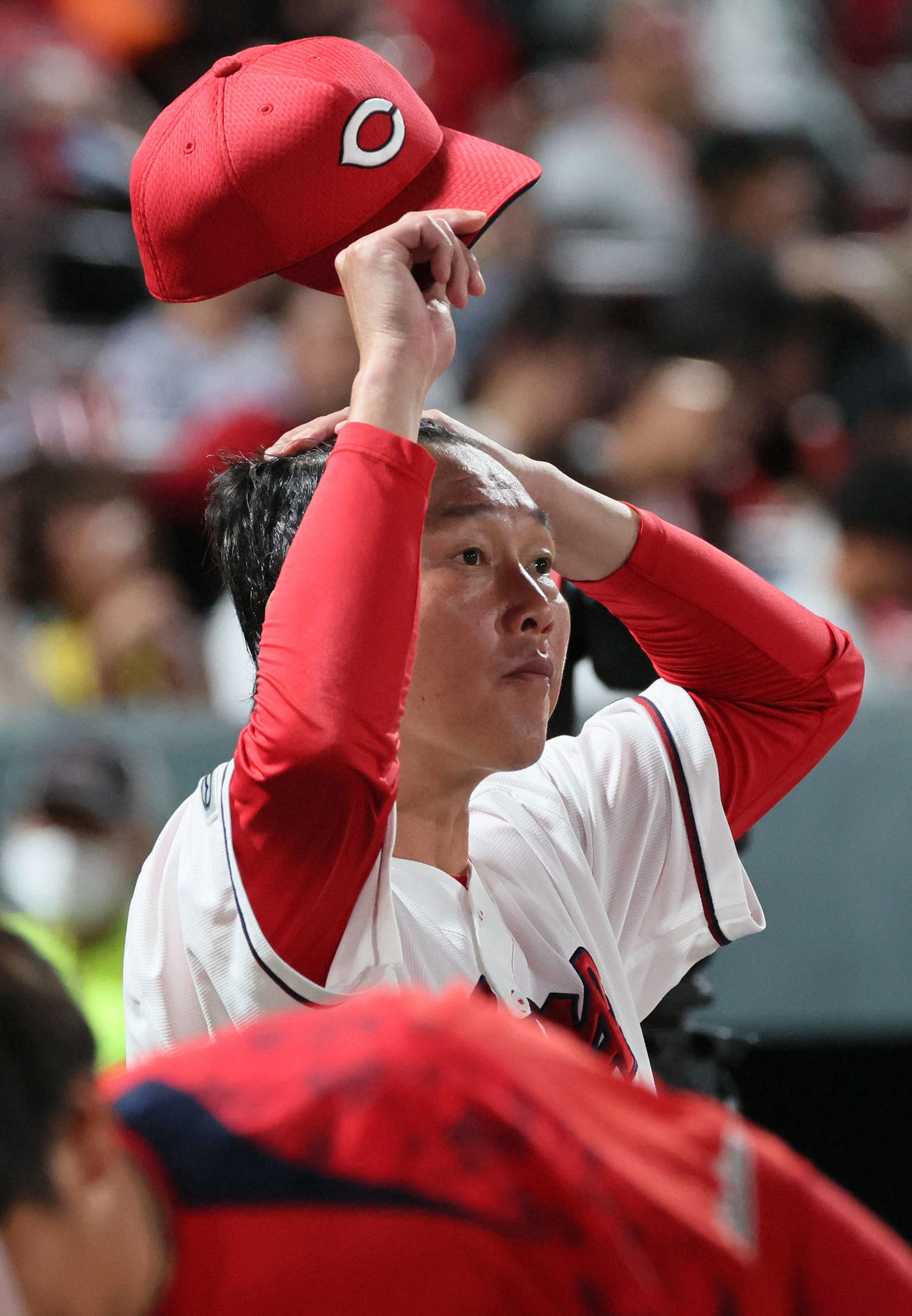 広島対巨人　8回表終了時、ベンチの新井監督（撮影・加藤孝規）