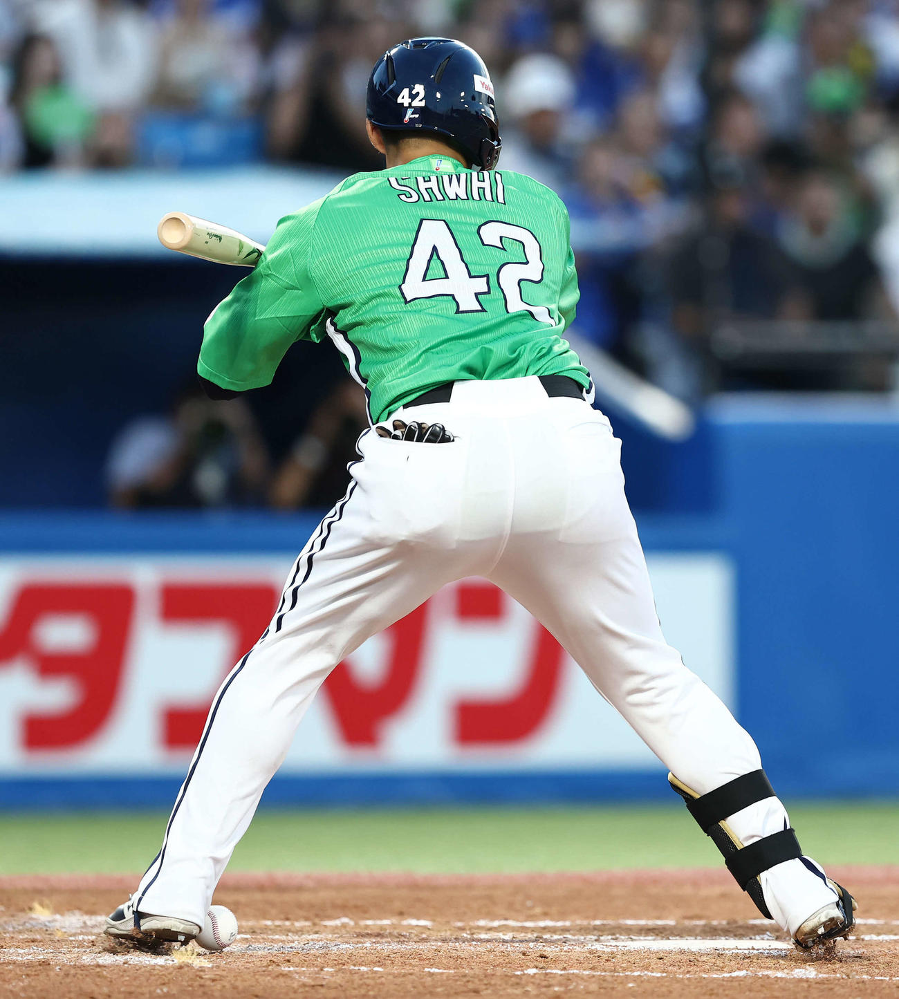 ヤクルト対中日　2回裏ヤクルト1死一塁、死球を受ける沢井（撮影・河田真司）