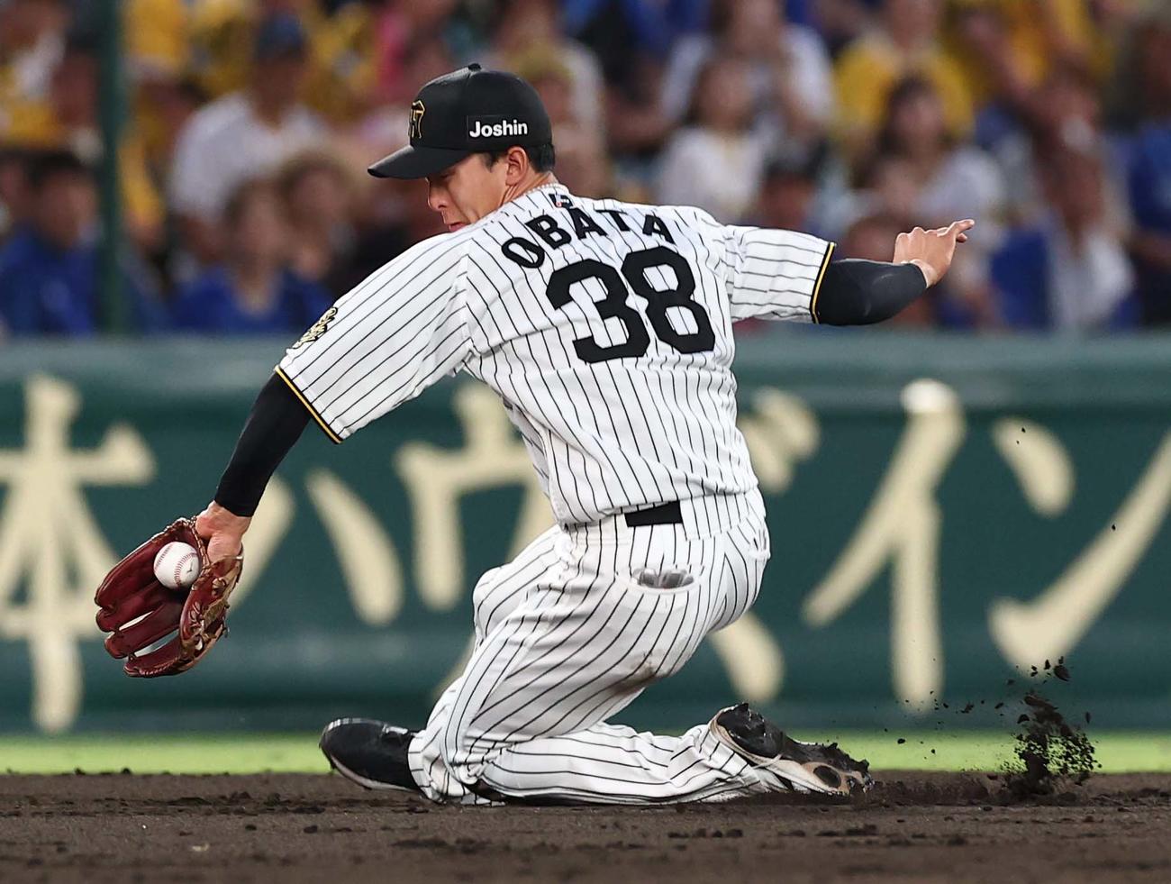 阪神対DeNA 4回表DeNA2死、小幡は宮崎の遊ゴロを軽快にさばく（撮影・上田博志）
