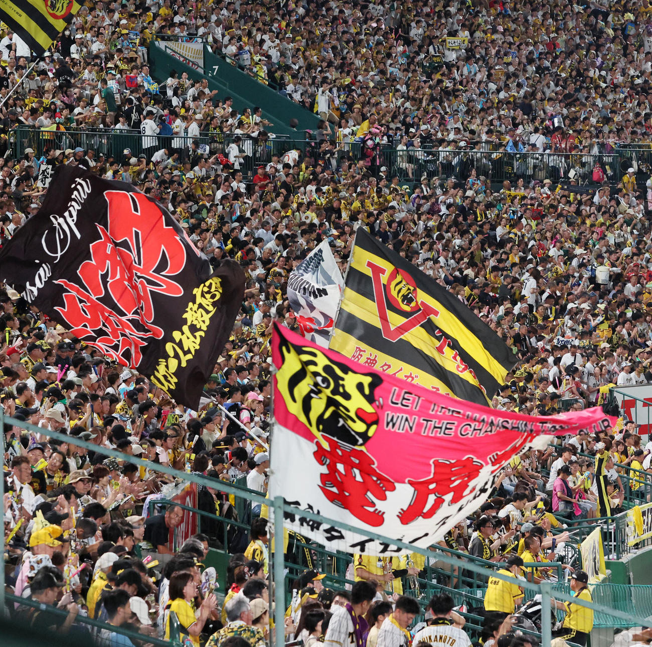 阪神対DeNA　声援を送る阪神ファン（撮影・加藤哉）