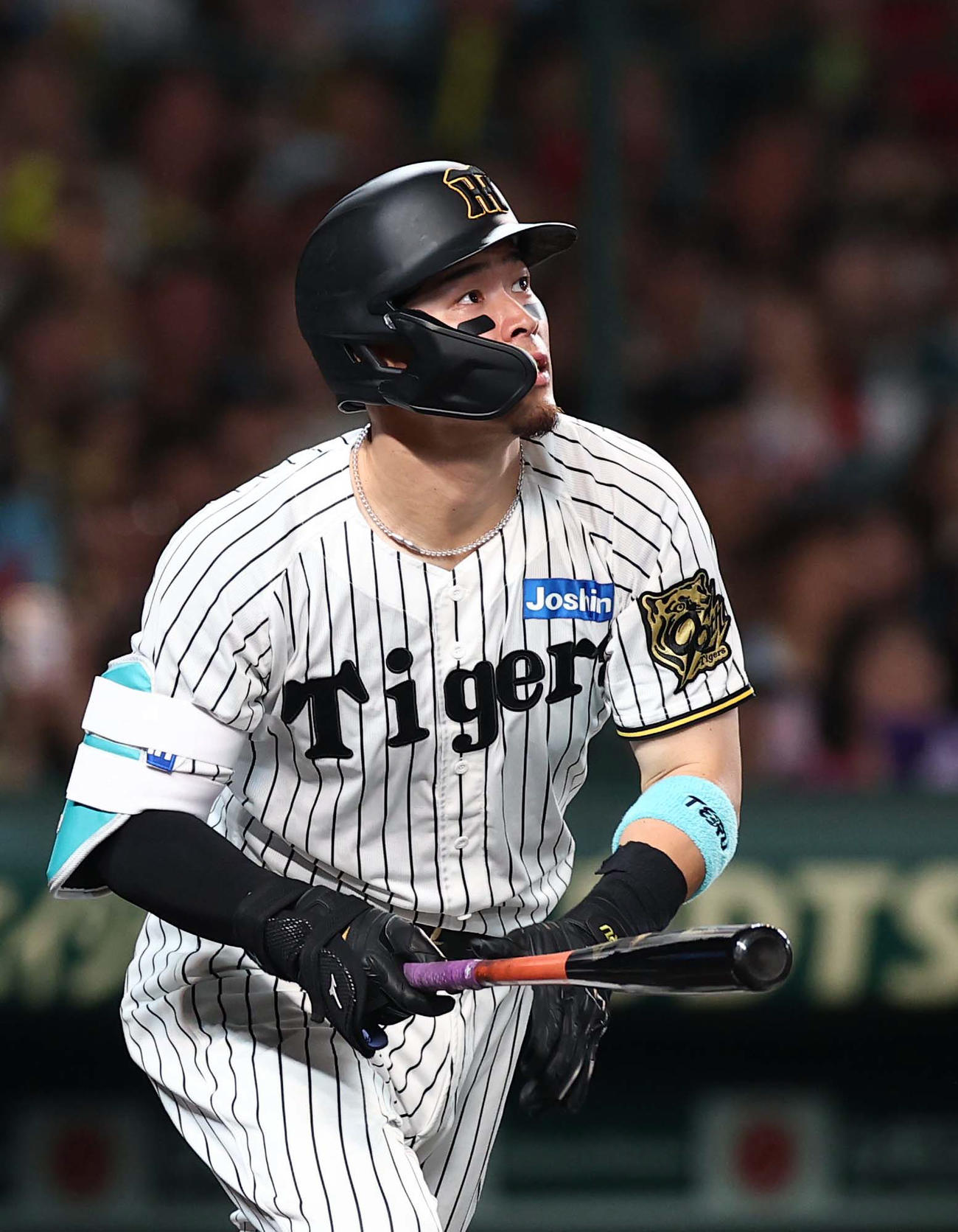 阪神対DeNA 6回裏阪神1死、佐藤輝は右越えソロ本塁打を放つ（撮影・上田博志）
