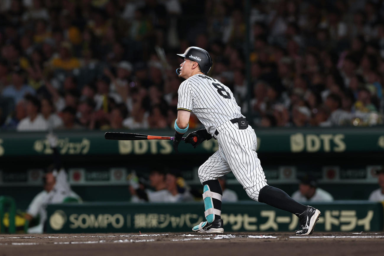 阪神対DeNA 6回裏阪神1死、右越え本塁打を放つ佐藤輝（撮影・前田充）