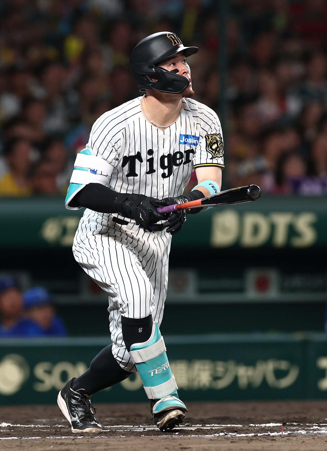 阪神対DeNA 6回裏阪神1死、佐藤輝は右越えソロ本塁打を放つ（撮影・上田博志）