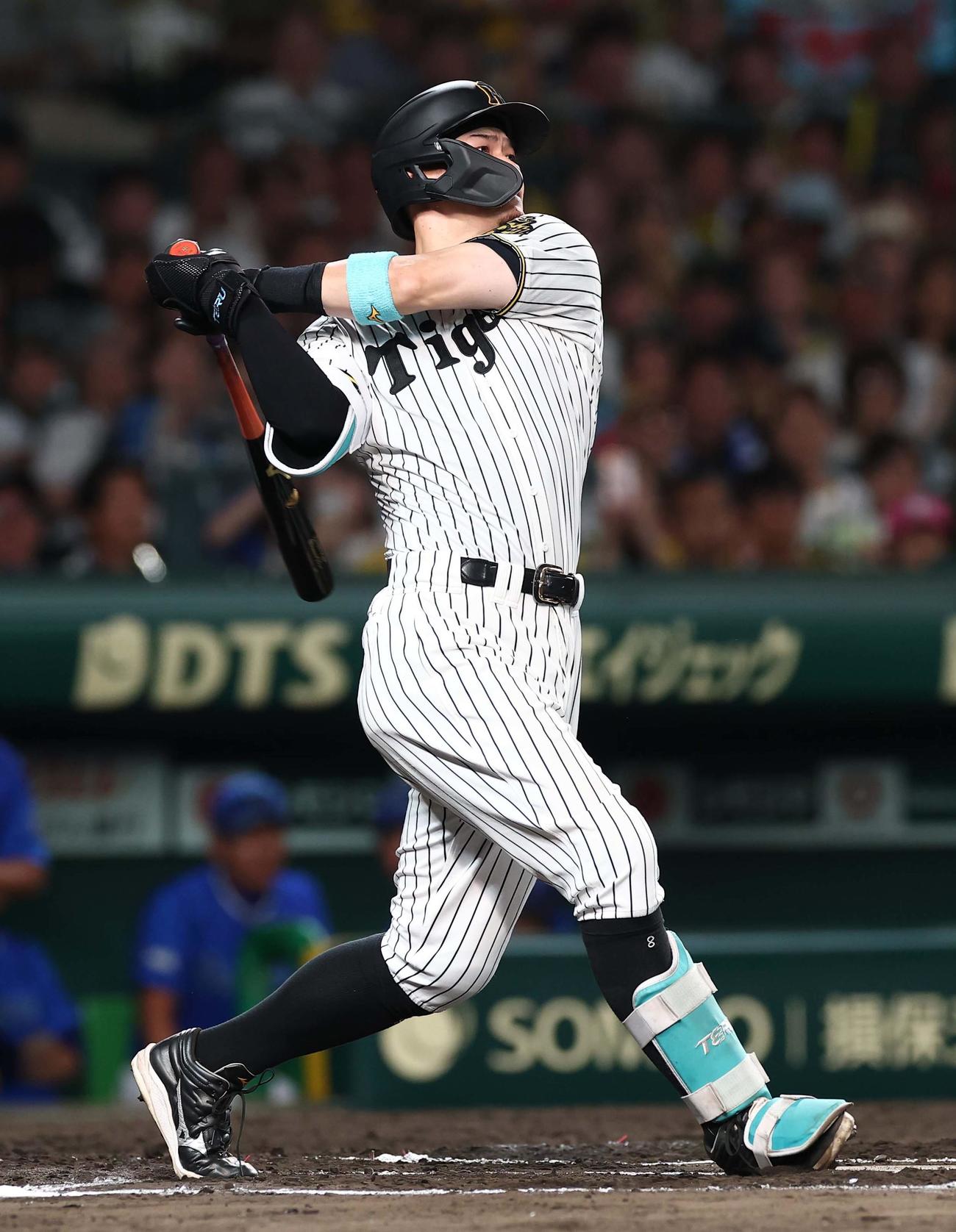 阪神対DeNA 6回裏阪神1死、佐藤輝は右越えソロ本塁打を放つ（撮影・上田博志）