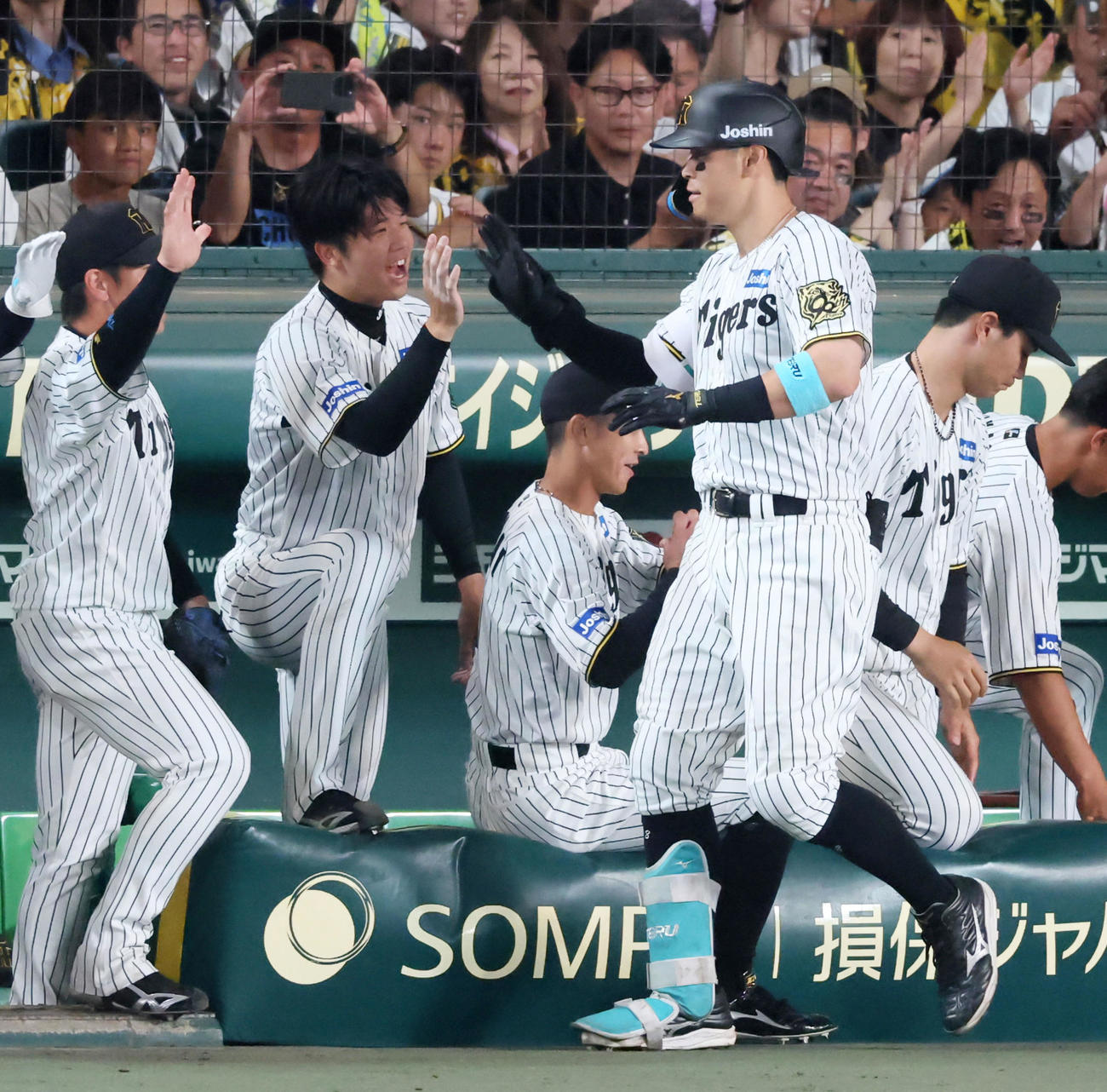 阪神対DeNA 6回裏阪神1死、佐藤輝は右越えソロ本塁打を放ちベンチの才木（左）らナインとタッチする（撮影・加藤哉）