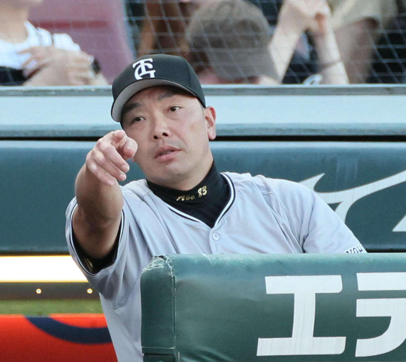 ベンチで指さす阿部監督（撮影・加藤孝規）