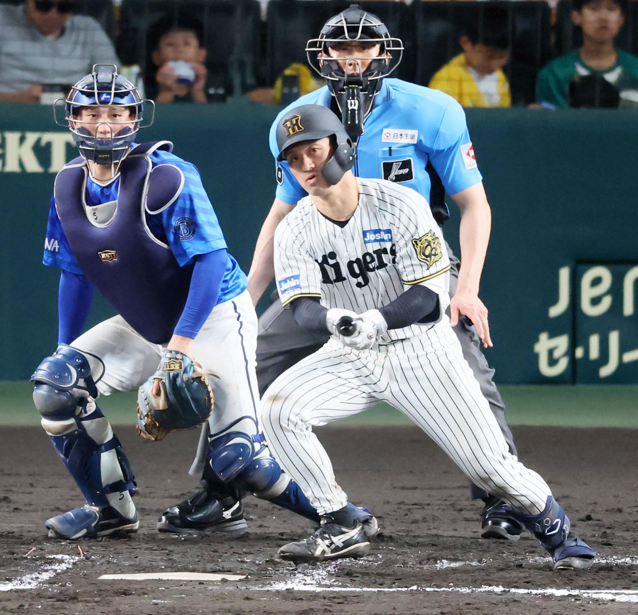 阪神対DeNA 6回裏阪神無死、坂本は中前打を放つ（撮影・加藤哉）