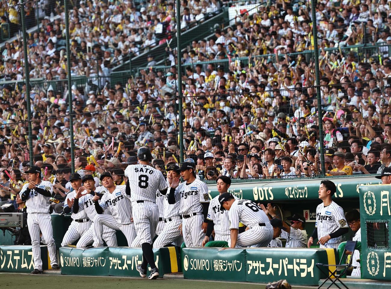 阪神対DeNA 2回裏阪神2死二塁、坂本の先制適時打で生還する佐藤輝（撮影・上田博志）