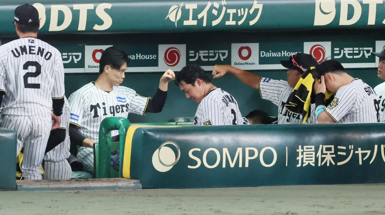 阪神対DeNA 6回表、阪神2番手で登板した湯浅は打者1人をきっちり抑えベンチで野村コーチ（右）とグータッチ（撮影・加藤哉）