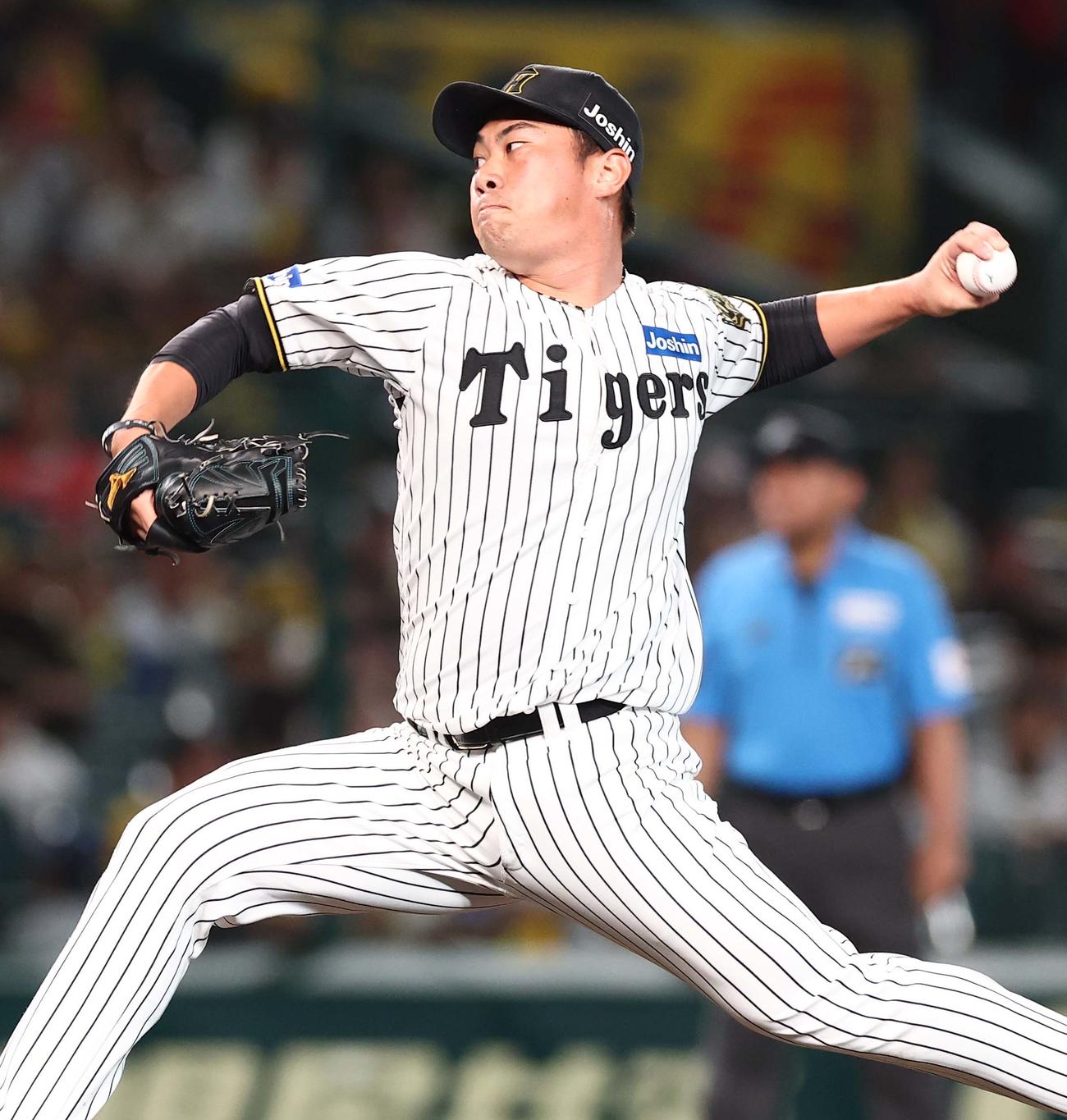 阪神対DeNA　阪神5番手の桐敷（撮影・上田博志）