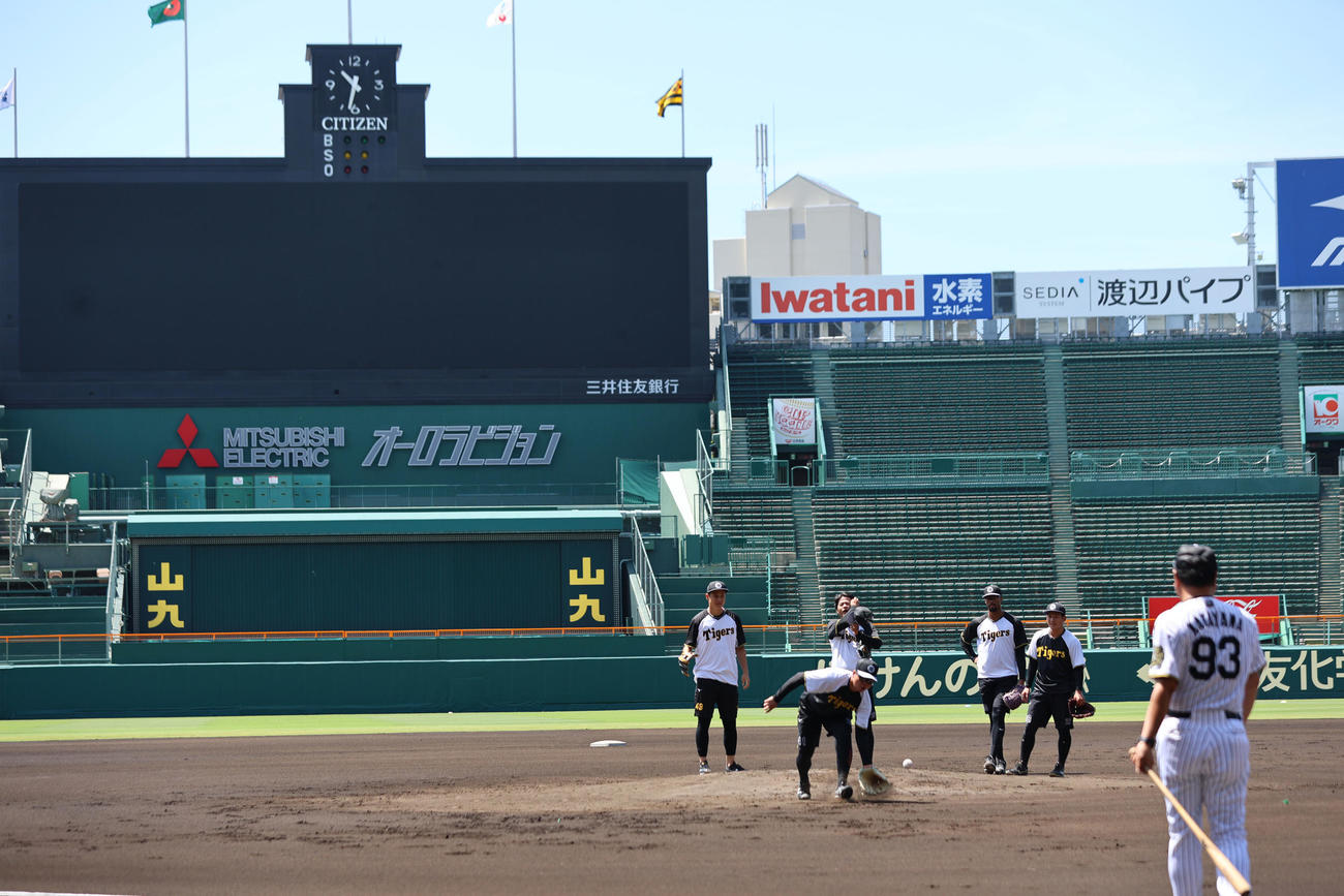 甲子園で練習する阪神の先発陣（撮影・西尾就之）