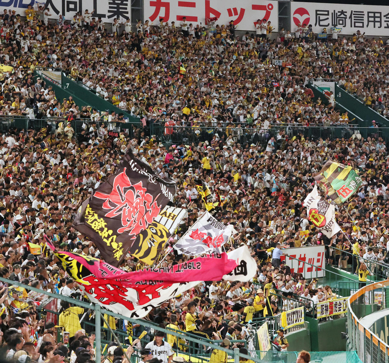 阪神対広島　声援を送る阪神ファン（撮影・加藤哉）