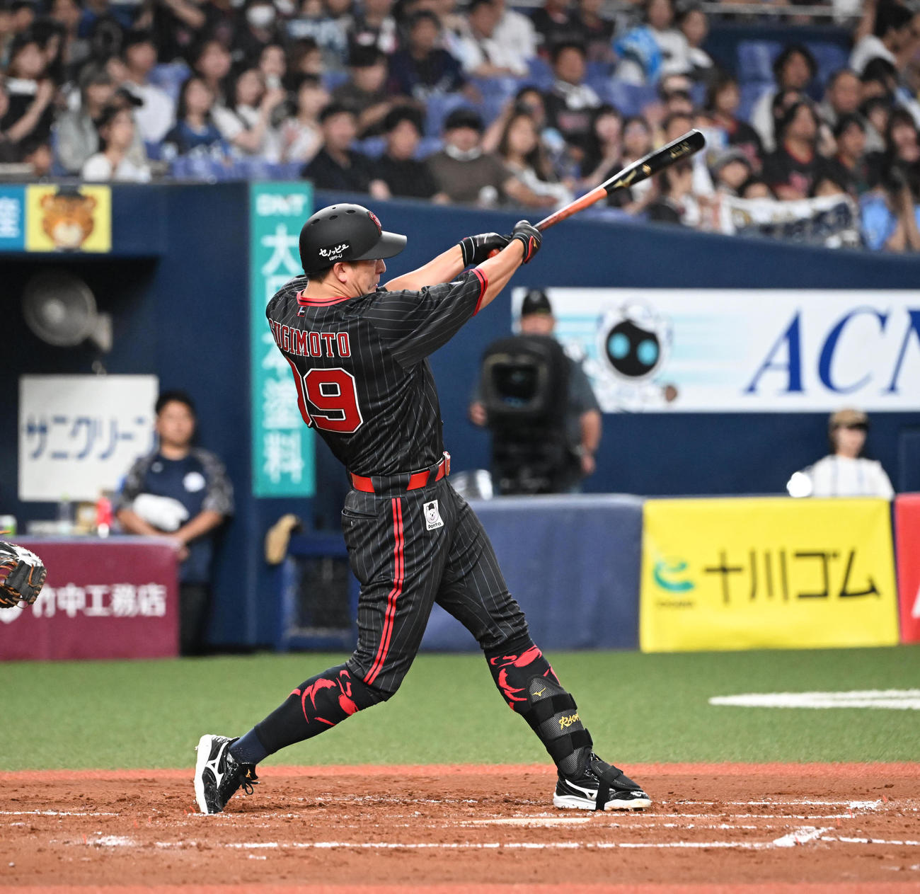 オリックス対西武　3回裏オリックス2死一塁、左越え本塁打を放つ杉本（撮影・和賀正仁）