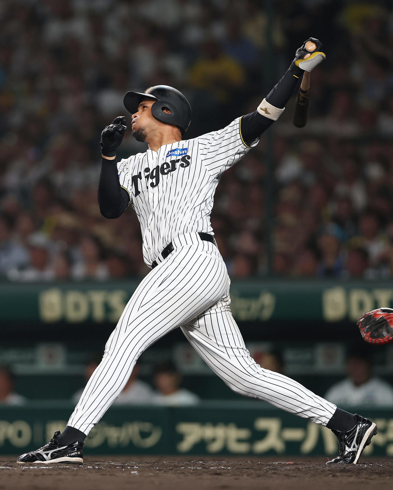 阪神ラモン・ヘルナンデス（2025年7月3日撮影）
