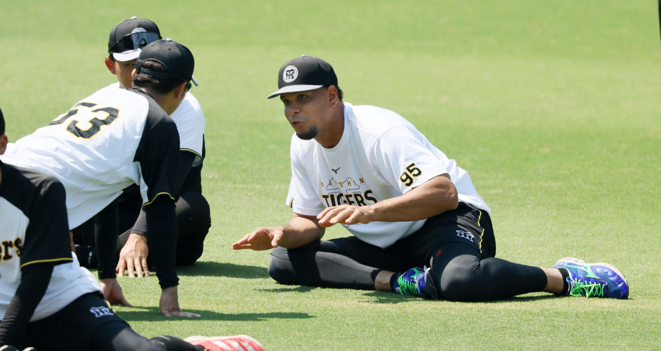 阪神対広島　試合前練習で談笑するヘルナンデス（撮影・加藤哉）