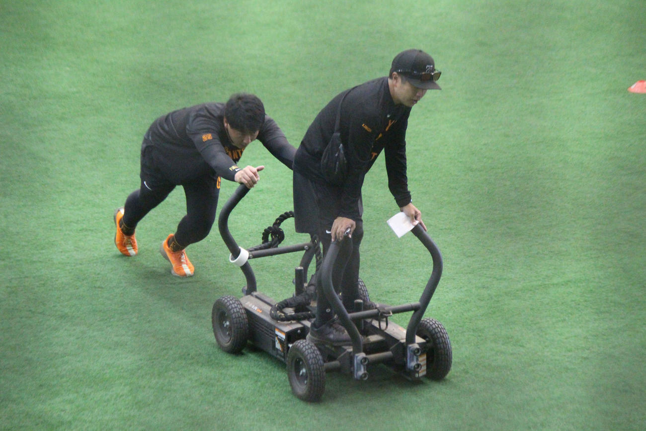 フィジカルトレーニングで台車を押す岡本