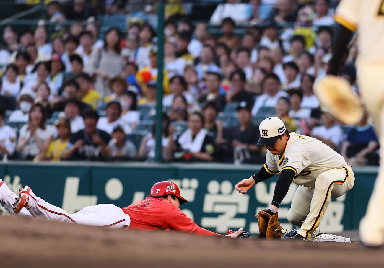 阪神対広島　2回表広島1死満塁、秋山の遊直で一走大瀬良が帰塁できず併殺となる。野手大山（撮影・藤尾明華）