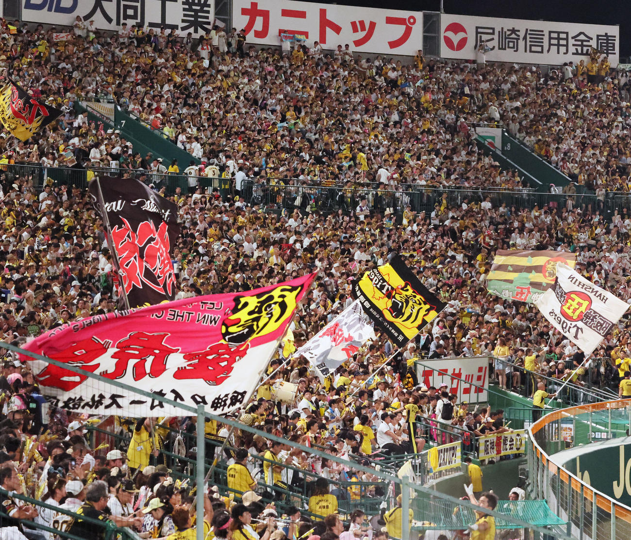 阪神対広島　甲子園で声援を送る阪神ファン（撮影・加藤哉）
