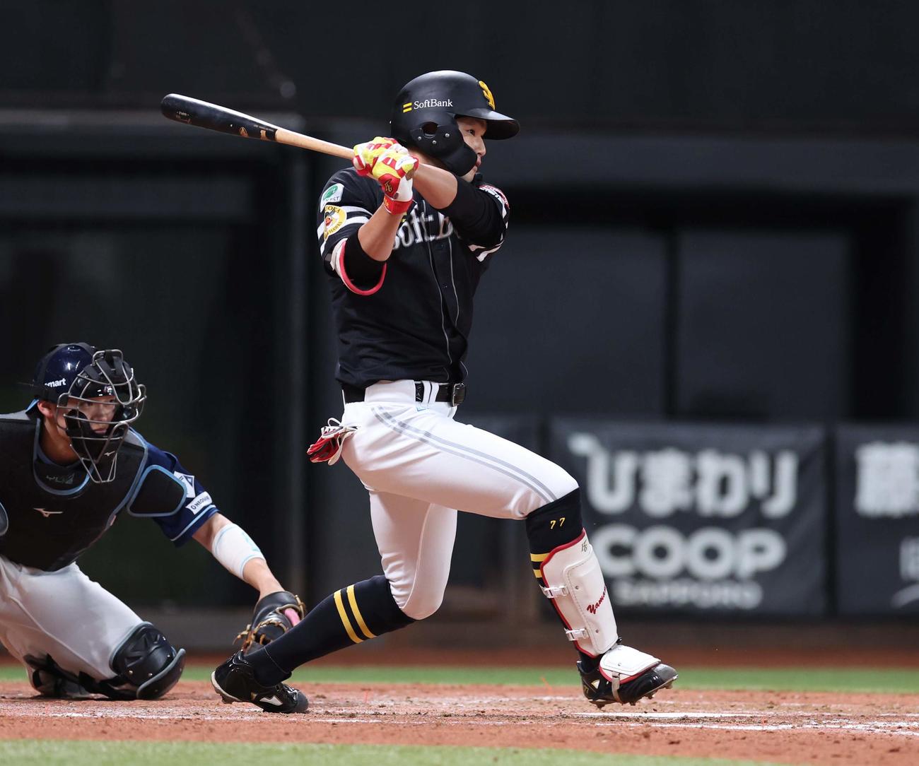 日本ハム対ソフトバンク　4回表ソフトバンク2死、右前打を放つ山本（撮影・黒川智章）