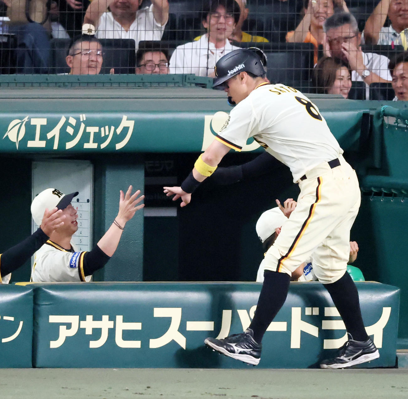 阪神対広島　4回裏阪神2死三塁、打者坂本のとき大瀬良のワイルドピッチで三塁走者佐藤輝（右）が生還し、ベンチの藤川監督とタッチする（撮影・加藤哉）