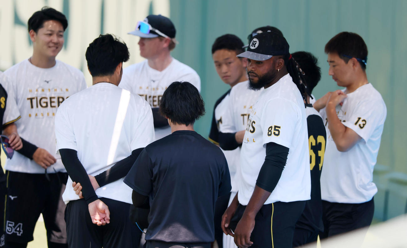 阪神対広島　1軍練習に合流したドリス（撮影・加藤哉）