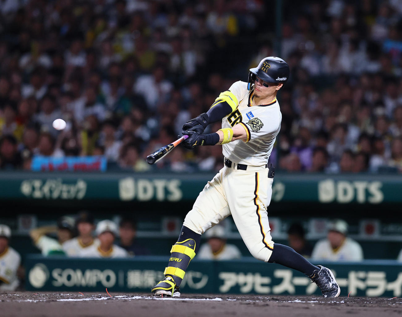 阪神佐藤輝明（2025年7月30日撮影）