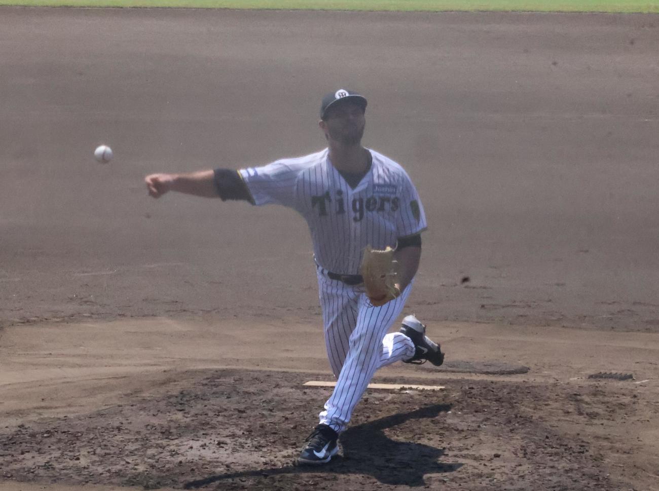 シート打撃に登板した阪神ハートウィグ（撮影・塚本光）