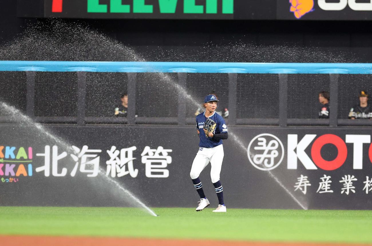 日本ハム対ソフトバンク　6回表、突然スプリンクラーが作動し困惑する水谷（撮影・黒川智章）