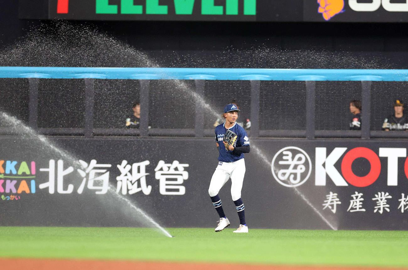 日本ハム対ソフトバンク　6回表、突然スプリンクラーが作動し困惑する水谷（撮影・黒川智章）