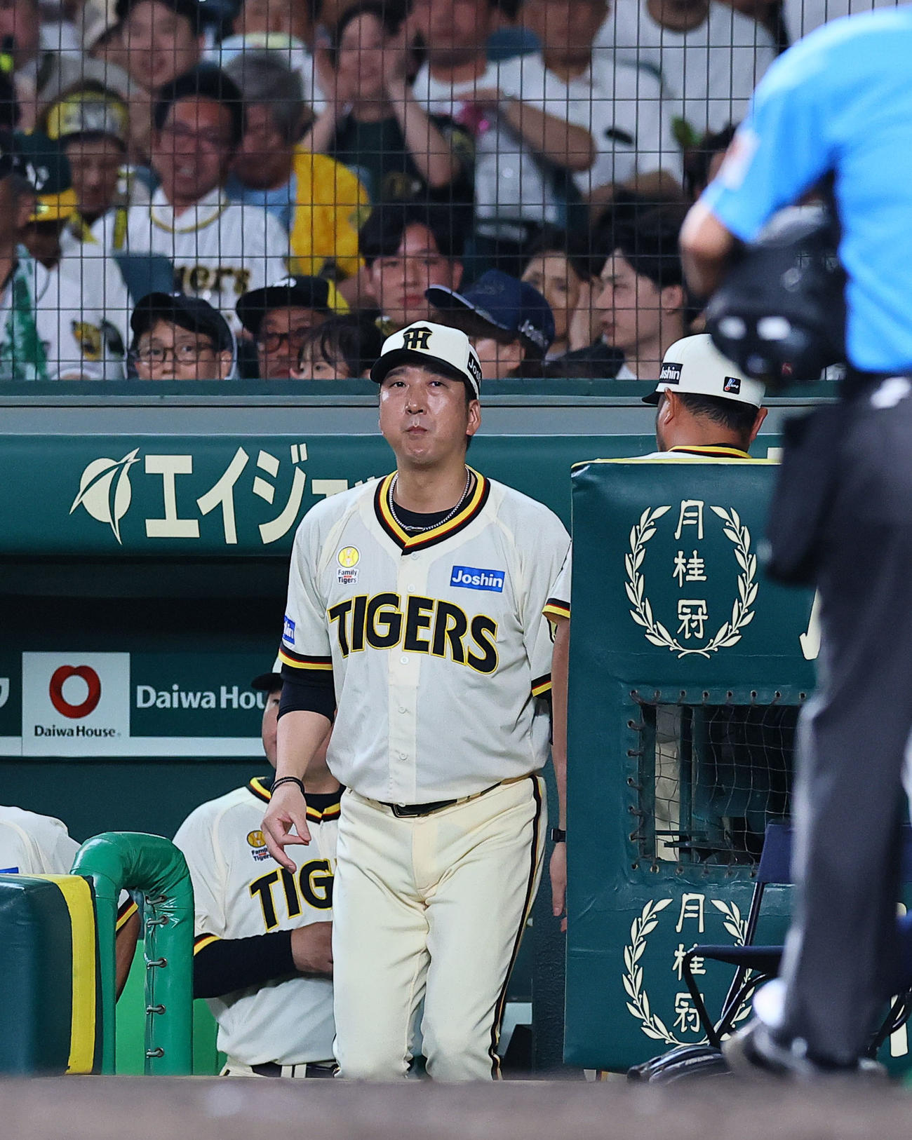 阪神対広島　5回、交代を告げるためベンチを出る阪神藤川監督（撮影・藤尾明華）