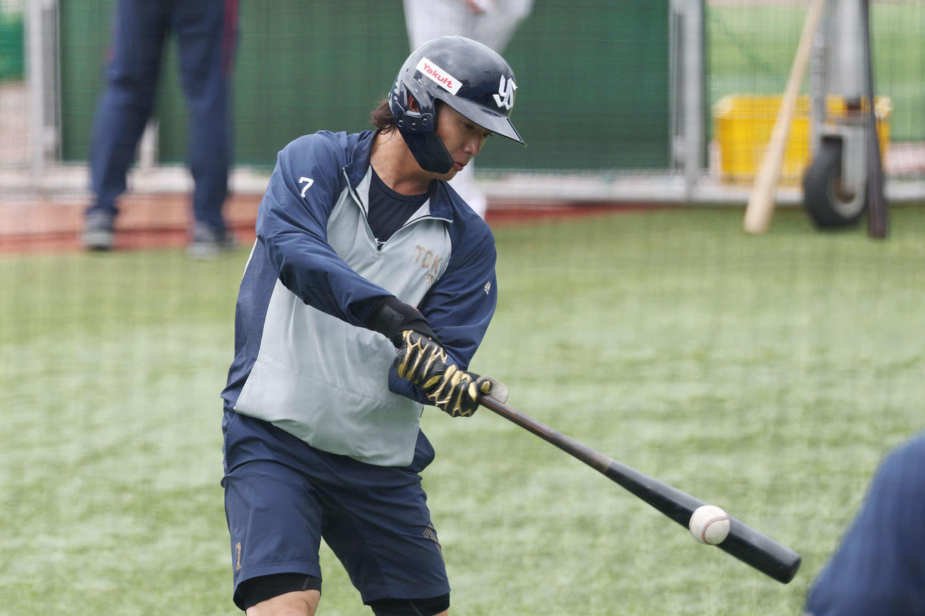 ヤクルト対阪神　試合前、打撃練習するヤクルト長岡（撮影・宮地輝）