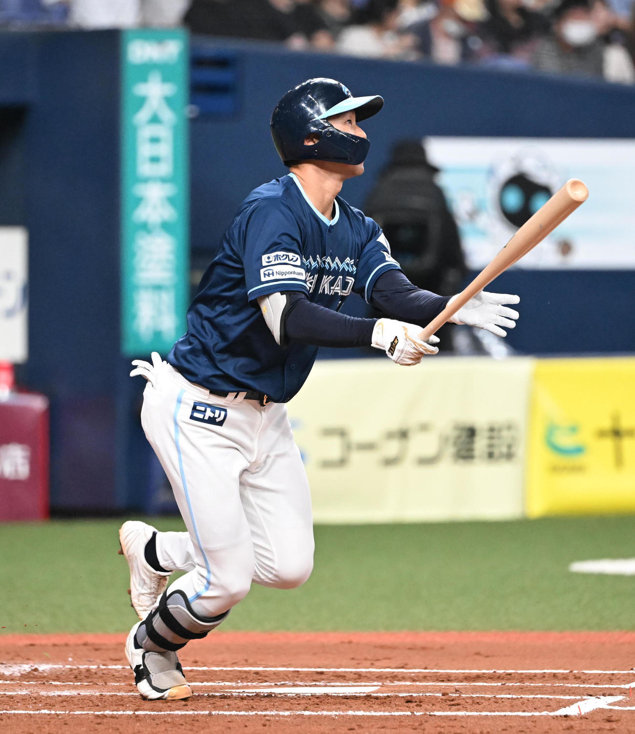 オリックス対日本ハム　2回表日本ハム1死、右越え本塁打を放つ石井（撮影・和賀正仁）