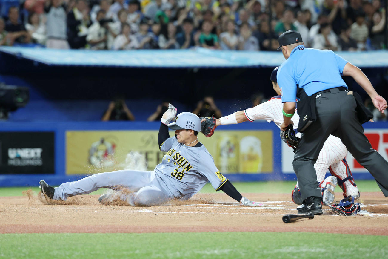 ヤクルト対阪神　6回表阪神2死二塁、坂本の中前適時打で生還する小幡（撮影・宮地輝）