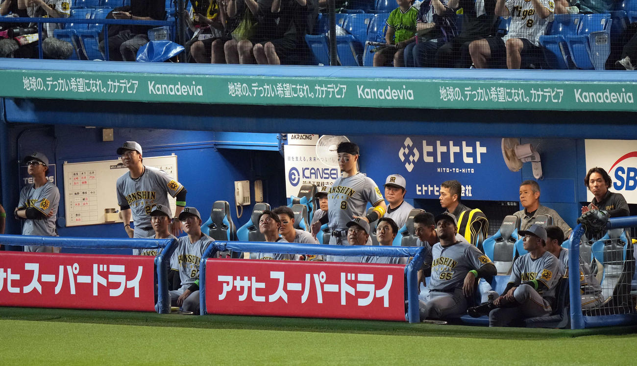 ヤクルト対阪神　5回終了で花火が打ち上げられ見上げる阪神ナイン（撮影・たえ見朱実）