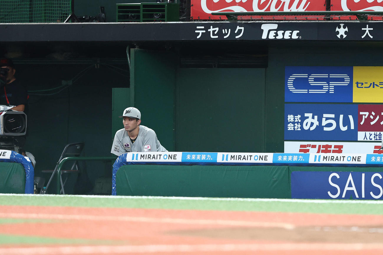 西武対ロッテ　6回裏、戦況を見守る小島（撮影・河田真司）