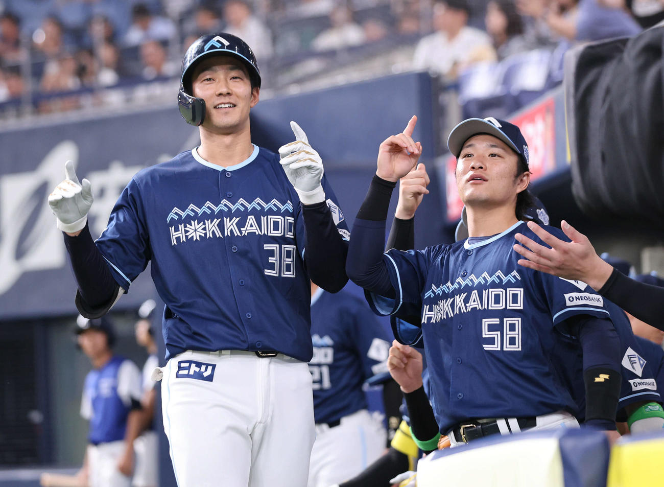 オリックス対日本ハム　2回表日本ハム1死、石井（左）は本塁打を放ち、奈良間とベンチ前でポーズをとる（撮影・西尾就之）