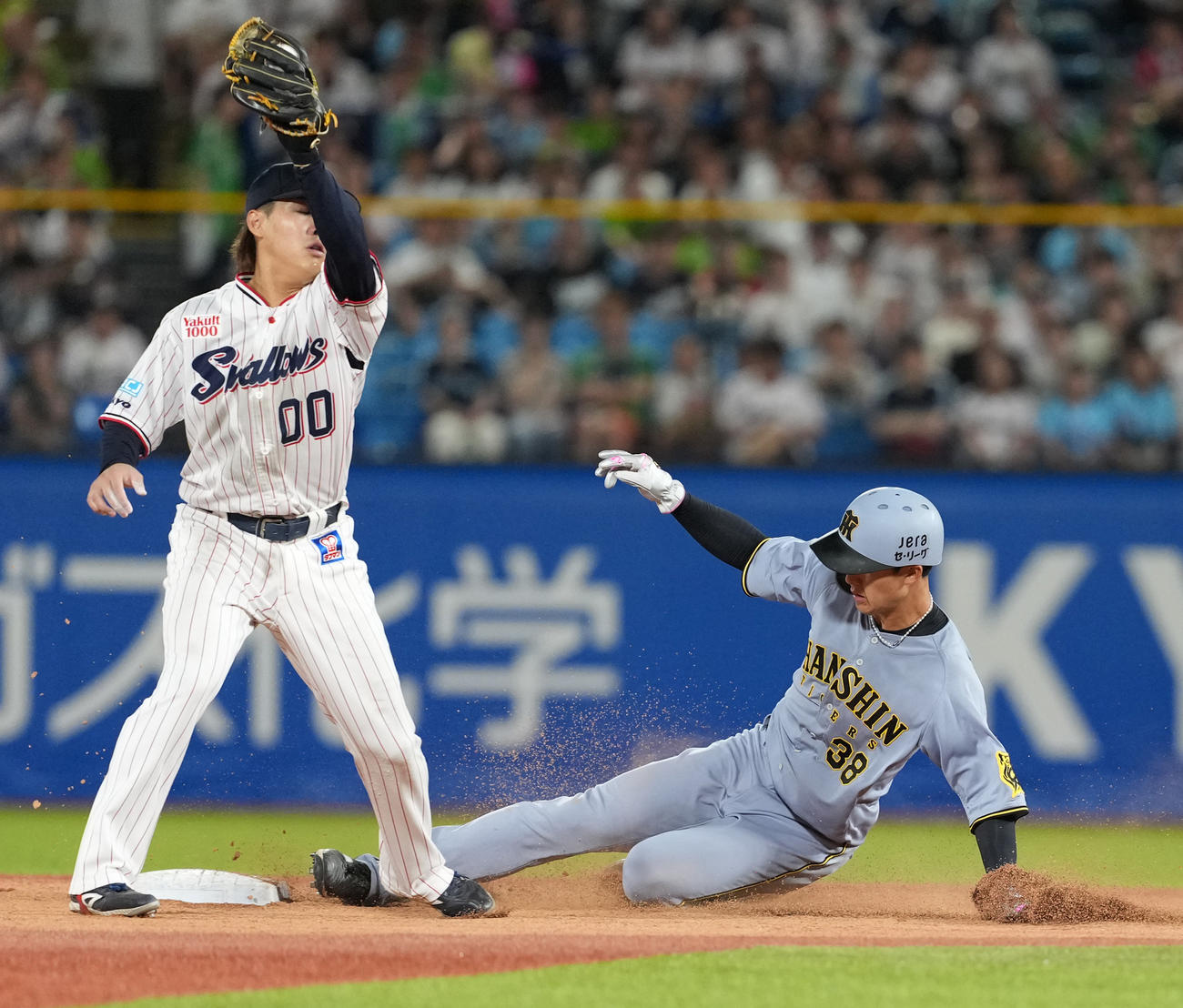 ヤクルト対阪神　6回表阪神2死一塁、打者坂本の時、二盗を決める小幡（撮影・清水貴仁）