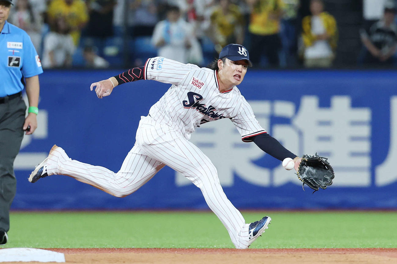 ヤクルト対阪神　4回表阪神1死、坂本の遊ゴロで好守備を見せる長岡（撮影・宮地輝）
