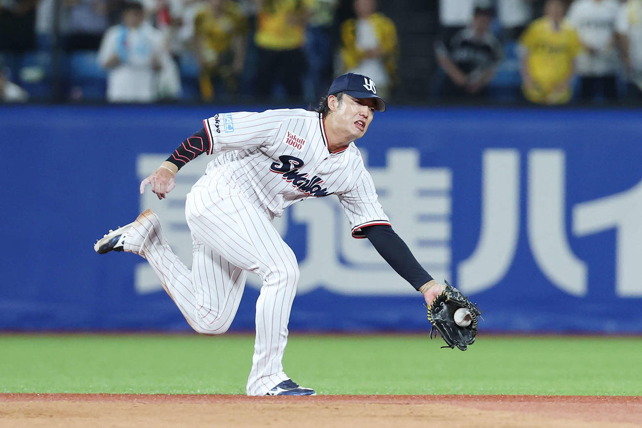 ヤクルト対阪神　4回表阪神1死、坂本の遊ゴロに好守備を見せる長岡（撮影・宮地輝）