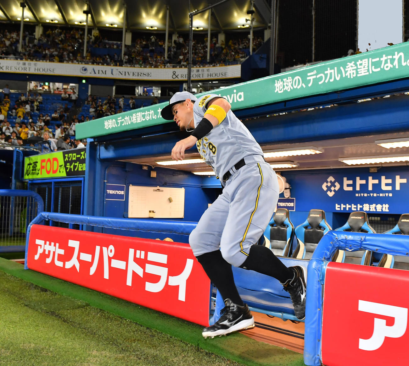 ヤクルト対阪神　試合後、ベンチから軽快に飛び出しヒーローインタビューに向かう阪神佐藤輝（撮影・清水貴仁）