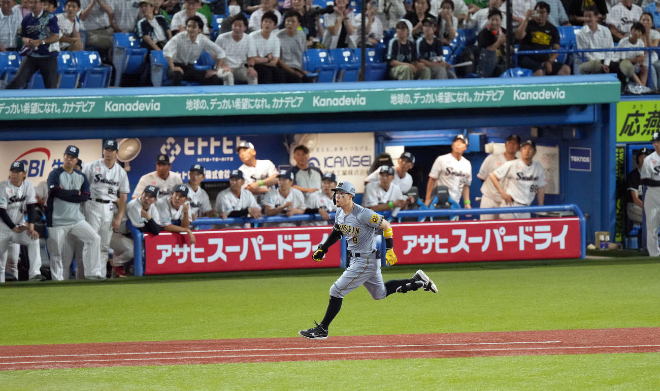 ヤクルト対阪神　10回表阪神2死二塁、右前に適時二塁打を放ち打球の行方を見る佐藤輝（撮影・たえ見朱実）