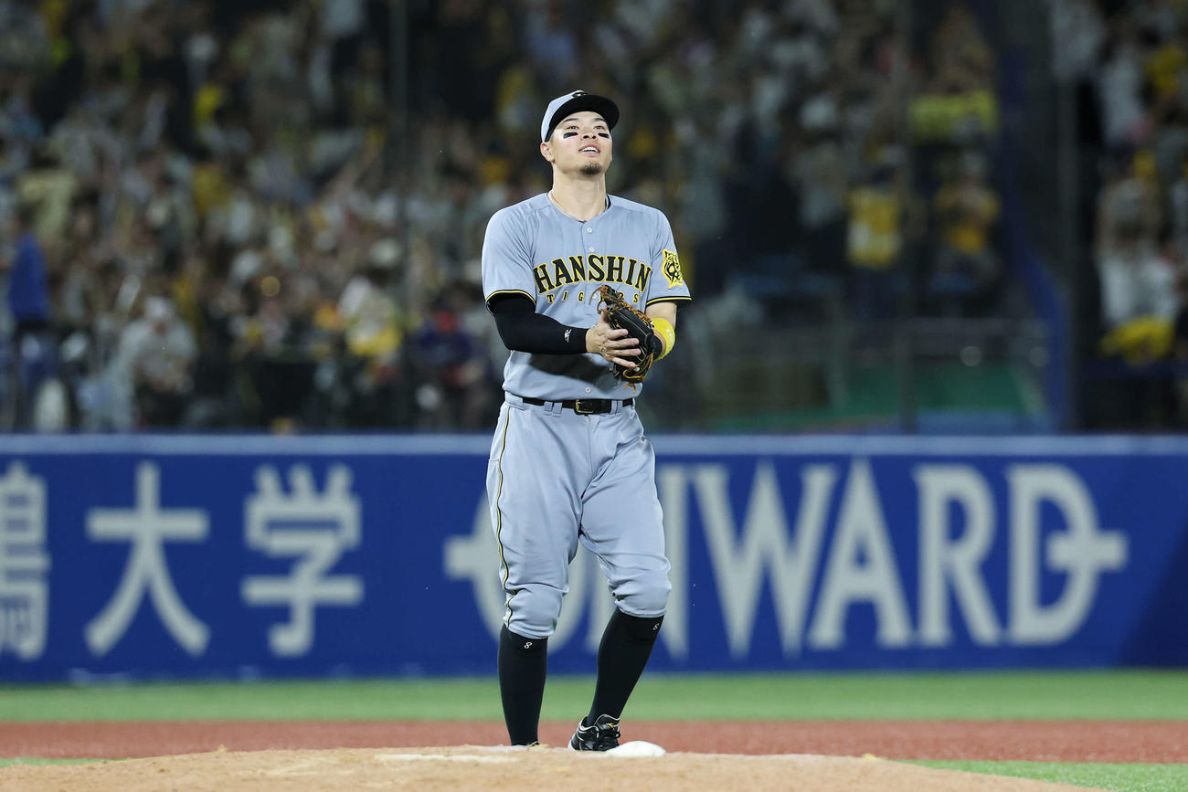 ヤクルト対阪神　勝利しグラブをたたく阪神佐藤輝（撮影・宮地輝）