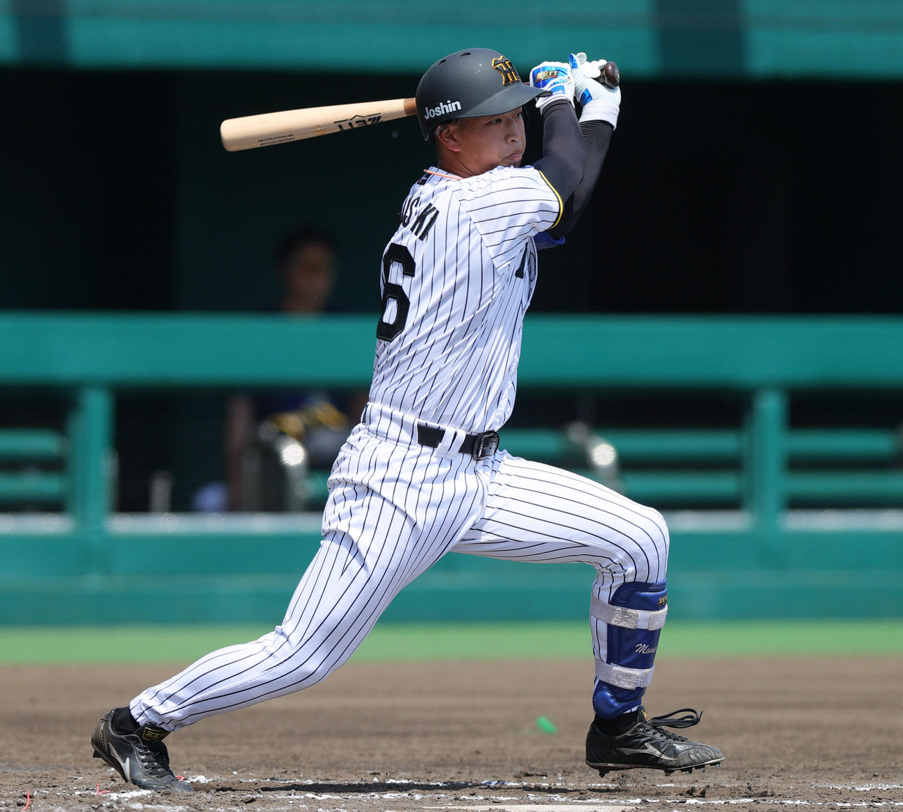 阪神百崎蒼生（2025年5月20日撮影）