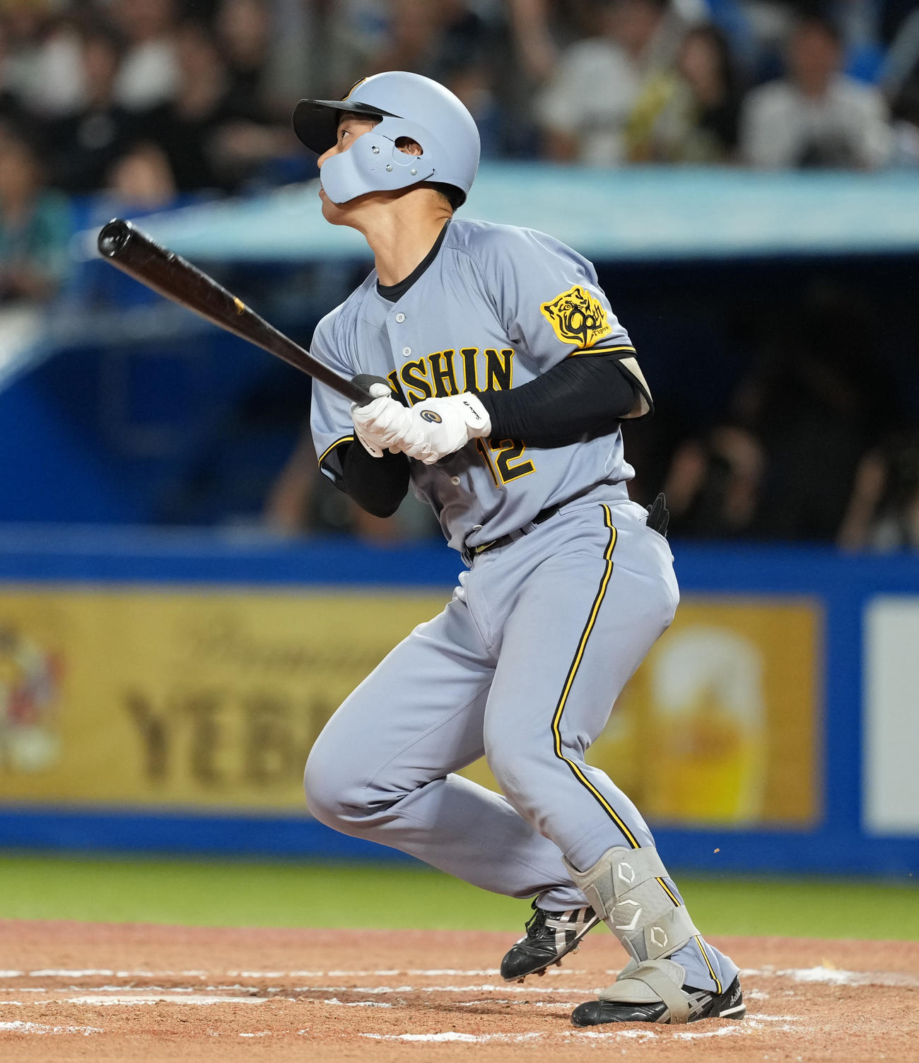 ヤクルト対阪神　6回表阪神2死二塁、中前適時打を放つ坂本（撮影・清水貴仁）