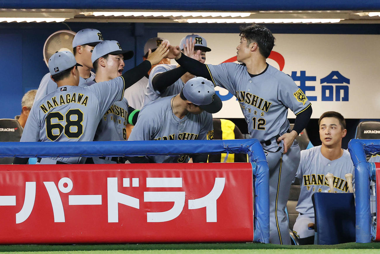 ヤクルト対阪神　6回表阪神2死二塁、中前適時打を放った坂本（右から2人目）はチームメートとタッチを交わす（撮影・宮地輝）