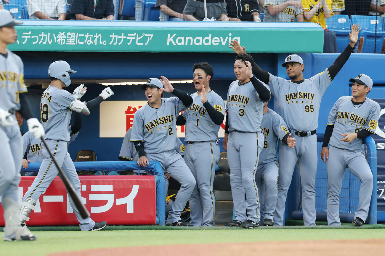 ヤクルト対阪神　2回表阪神1死、中越えソロ本塁打を放った小幡（左）を迎えるチームメートたち（撮影・宮地輝）