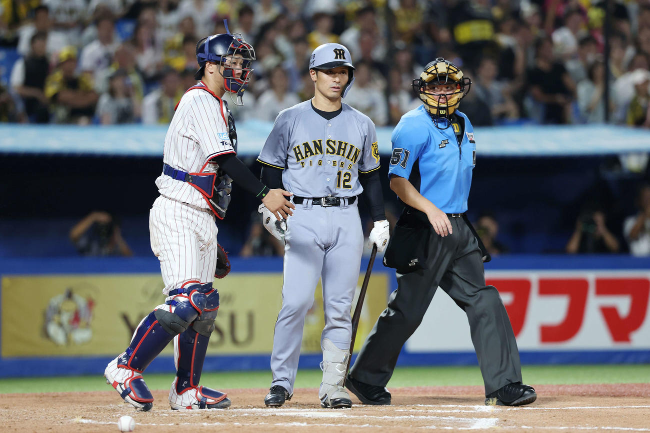 ヤクルト対阪神　8回表阪神2死一、三塁、死球を受けた坂本（撮影・宮地輝）