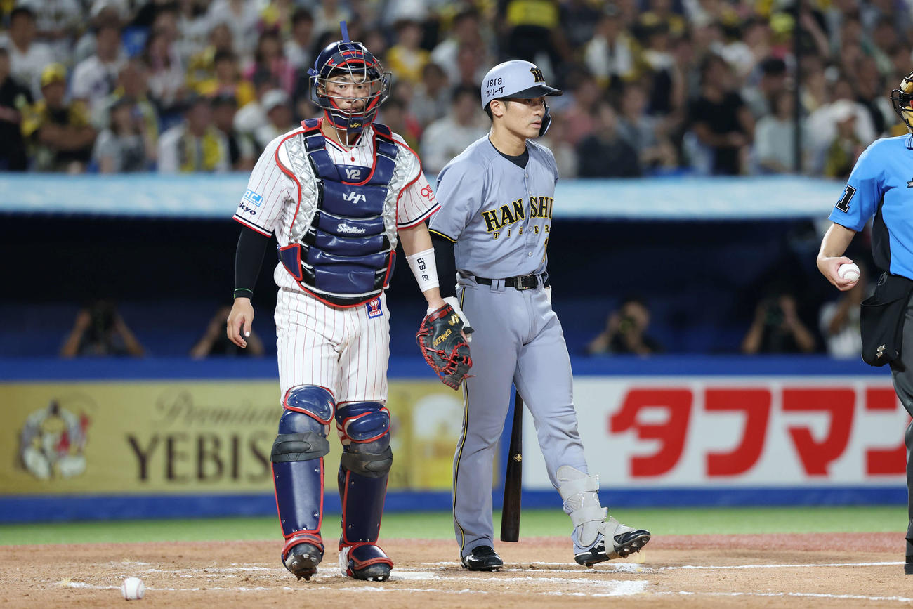 ヤクルト対阪神　8回表阪神2死一、三塁、死球を受けた坂本（撮影・宮地輝）
