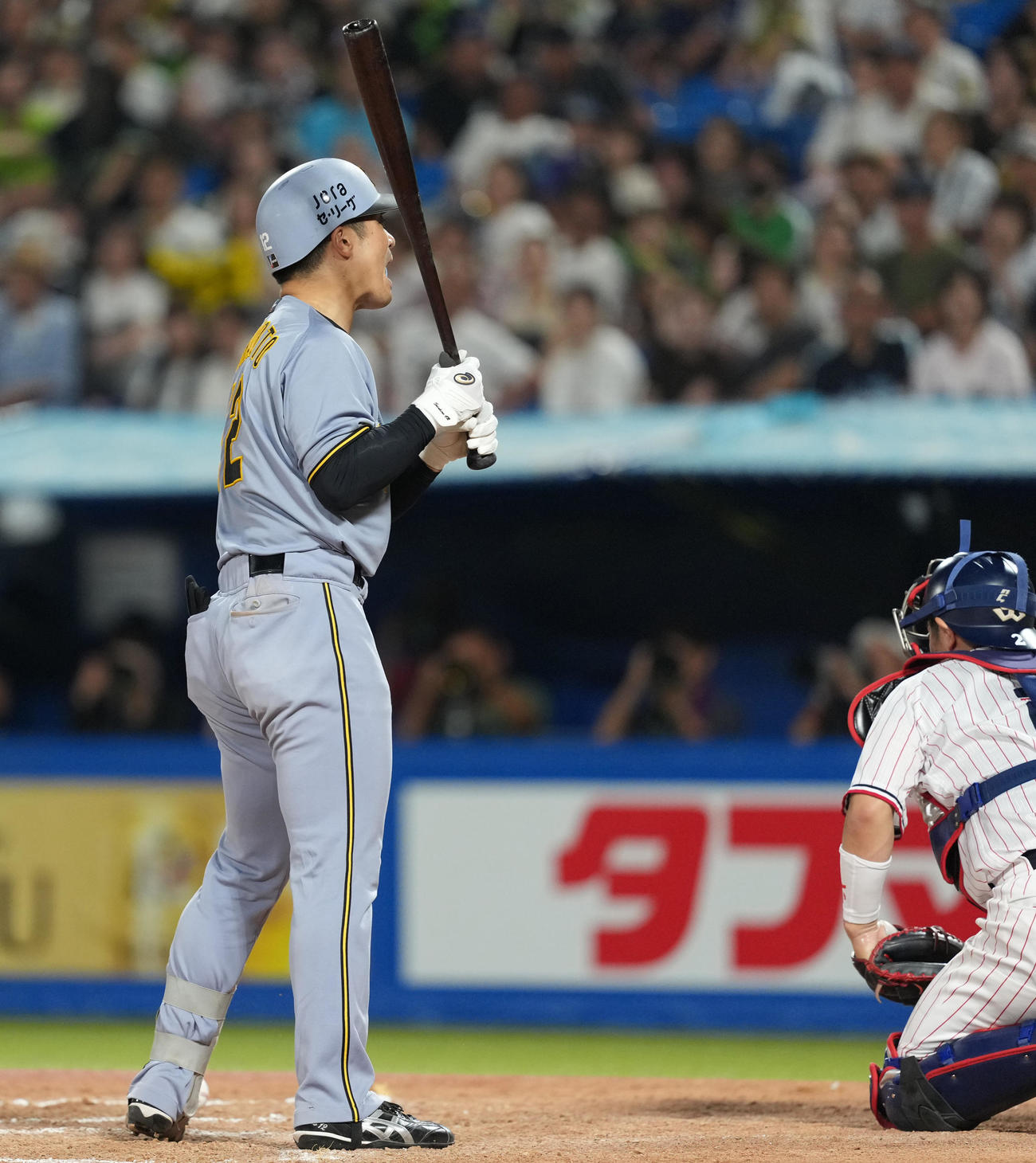 ヤクルト対阪神　8回表阪神2死一、三塁、死球を受け、声をあげる坂本（撮影・清水貴仁）